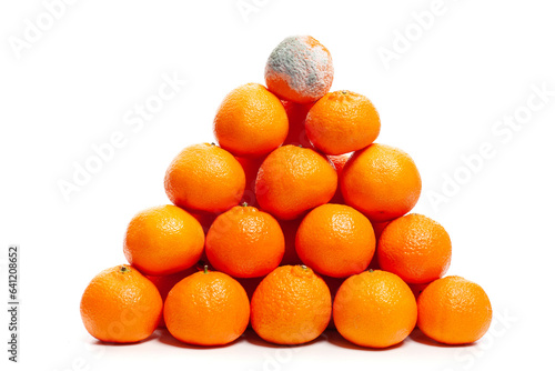 Orange tangerine with mold on white. Control error concept. photo