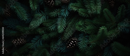 Christmas tree branches on a natural background © EnelEva