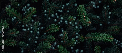 Christmas tree branches on a natural background