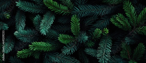 Christmas tree branches on a natural background