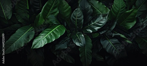 a close up of a bunch of leaves, in the style of dark paradise, photorealistic compositions