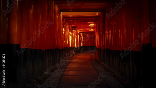 Photography Fushimi Inari Shrine, traditional Torii gates at sunset