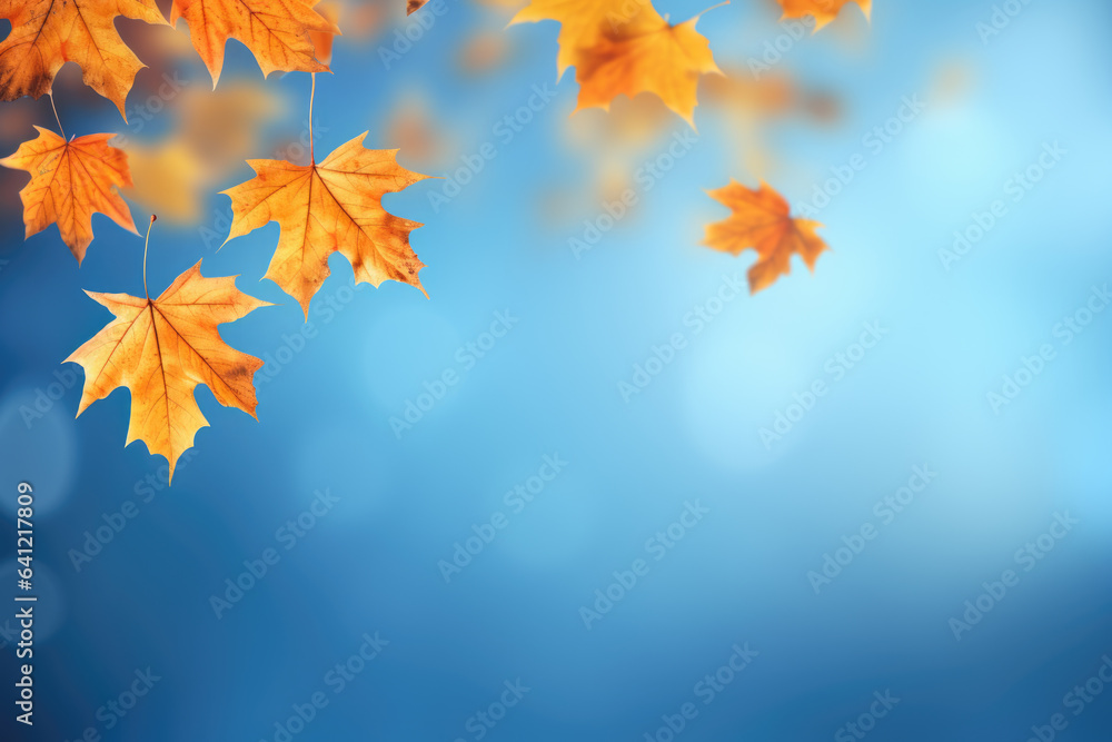 Yellow and orange fallen maple leaves on blue background. Abstract autumn natural backdrop. Fall season Yellow and orange fallen maple leaves on blue background. Abstract autumn natural backdrop. Fall season