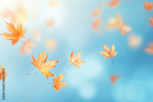 Yellow and orange fallen maple leaves on blue background. Abstract autumn natural backdrop. Fall season