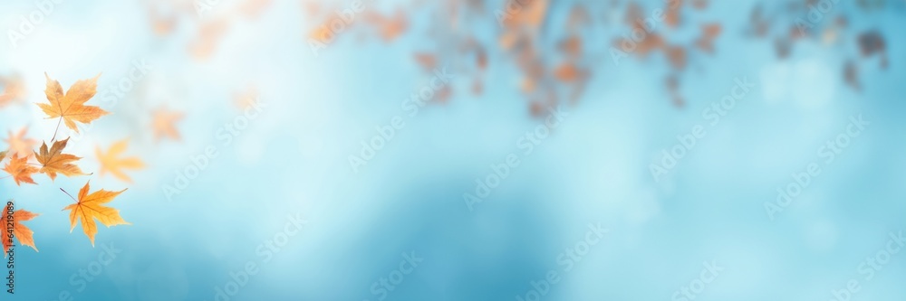 Yellow and orange fallen leaves on blue background. Abstract autumn natural backdrop. Fall season