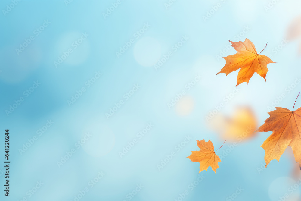 Yellow and orange fallen maple leaves on blue background. Abstract autumn natural backdrop. Fall season Yellow and orange fallen maple leaves on blue background. Abstract autumn natural backdrop. Fall season