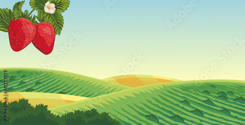 vector view of a strawberry garden on a background of hills, with bright clouds and beautiful views 