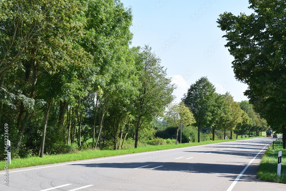 country road in the south of Luxembourg