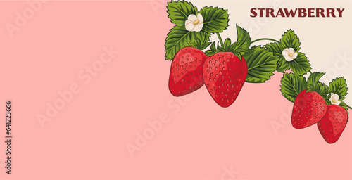 vector strawberry background isolated on a pink background