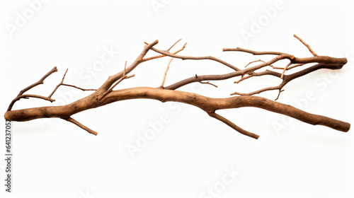 Dry branches twigs for camp fire isolated on white background