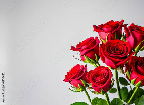 valentine day rose bouquet vase with white background