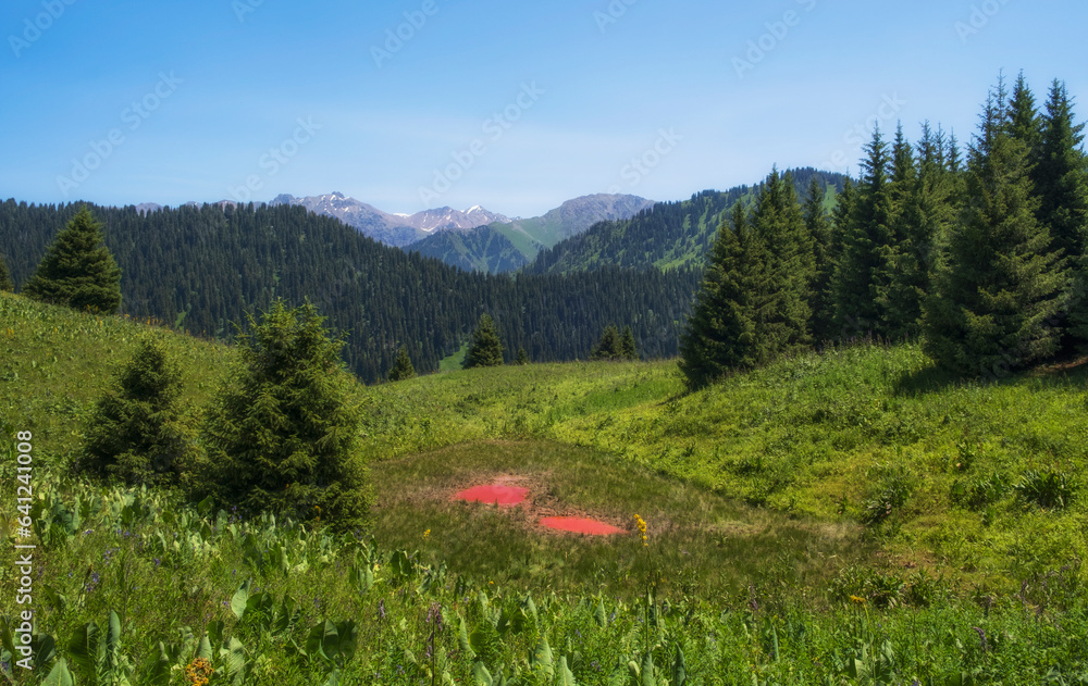 Obraz premium Small pink lakes in the mountains in summer. Boar lake in Zailiyskiye Alatau mountains in Kazakhstan Almaty.