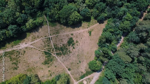 Aerial top down of hiking trails on Drachenberg trash mountain in Grunewald Berlin photo