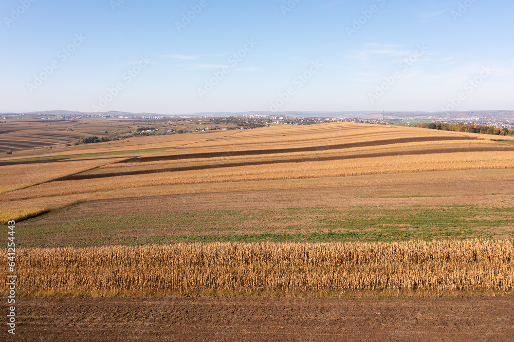 landscape with field in autumn