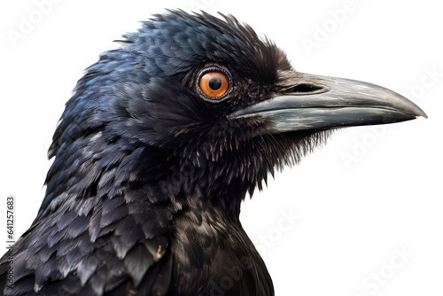 Bird photo realistic illustration - Generative AI.