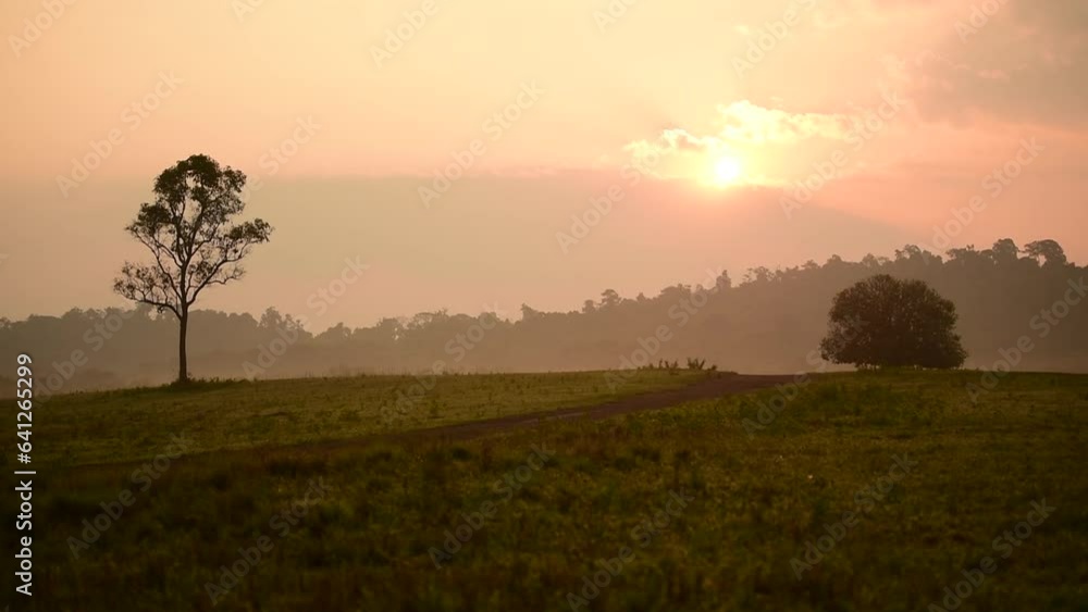 Beautiful Mountain landscape foggy windy mountain range green landscape asian farm. Amazing Landscape mountain green field meadow white cloud blue sky on sunrise. Countryside sunlight heaven scenery Beautiful Mountain landscape foggy windy mountain range green landscape asian farm. Amazing Landscape mountain green field meadow white cloud blue sky on sunrise. Countryside sunlight heaven scenery