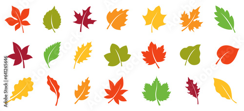Autumn leaves set. Simple cartoon flat style.