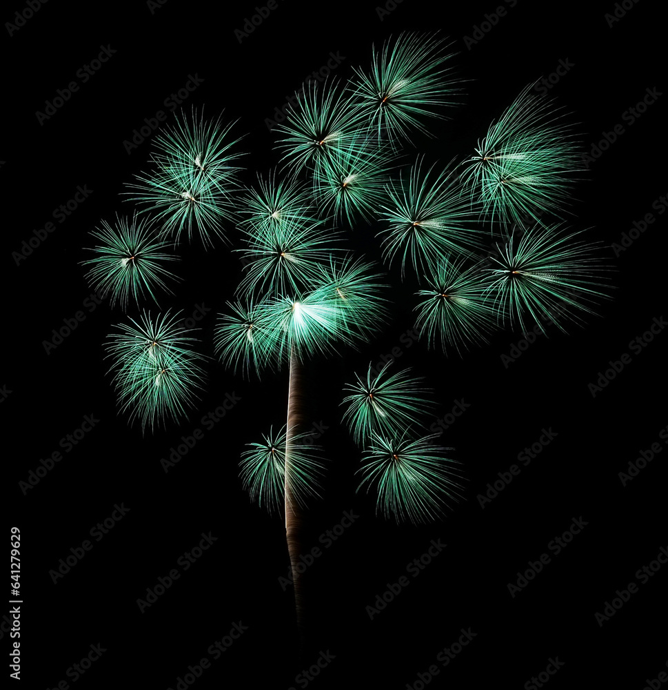 日本の伝統的打ち上げ花火 日本の伝統的打ち上げ花火