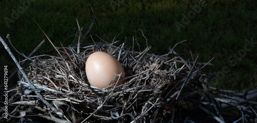 Nest protecting a single egg
