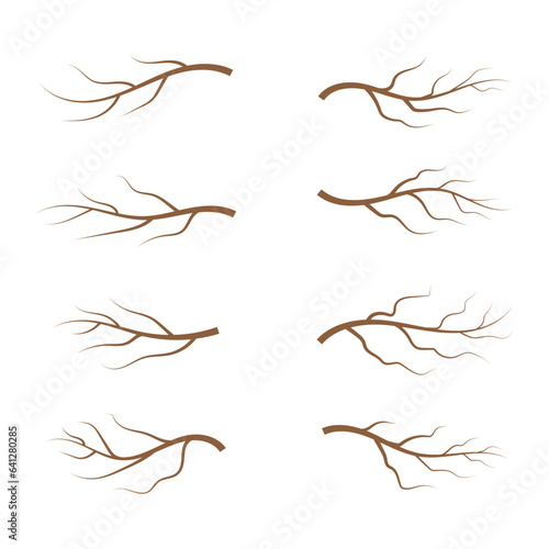 Aesthetic tree branch silhouettes. Leaves, swirls and floral elements vector illustration