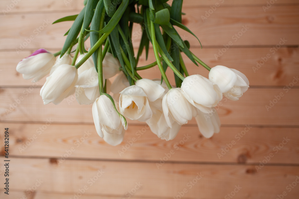 Close-up of bouquete of white tulips Close-up of bouquete of white tulips