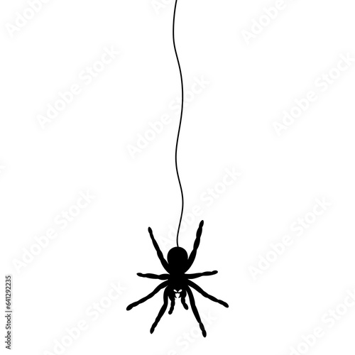 Halloween Black Spider hanging doodle. 