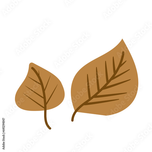 Cute Leaf Illustration