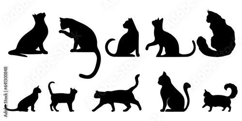 Cat Vıew Side