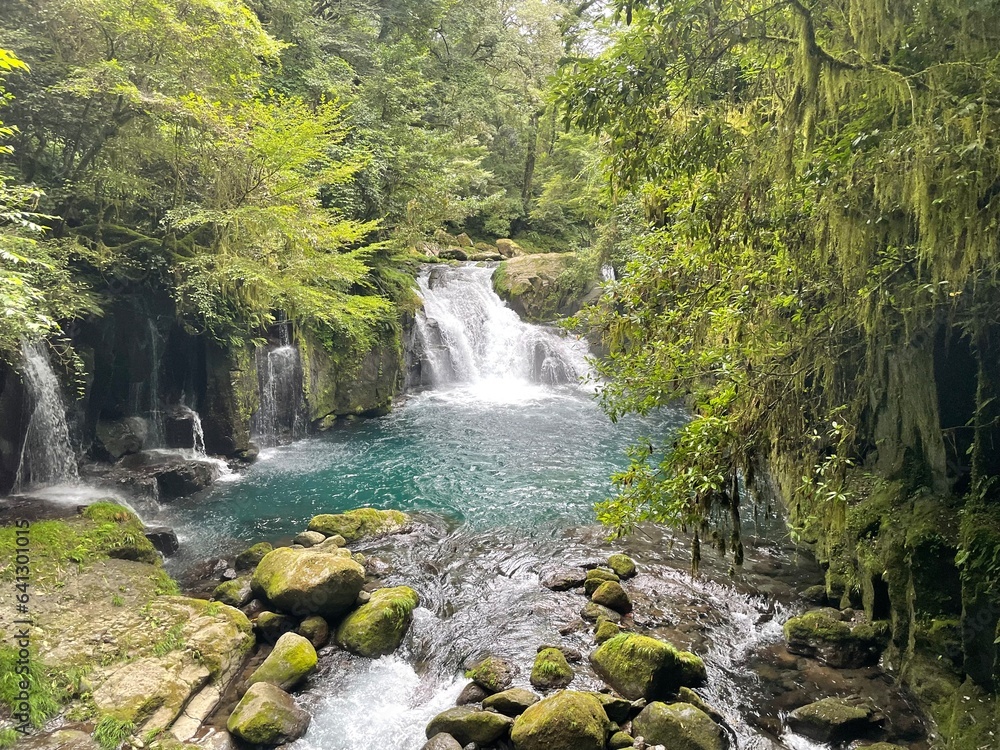 Fototapeta premium 涼しい渓谷