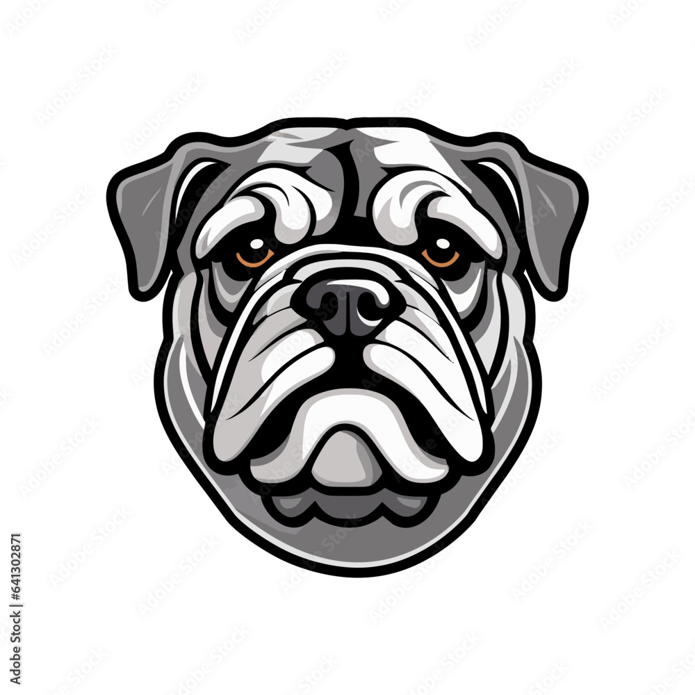 grey bulldog head portrait with good quality