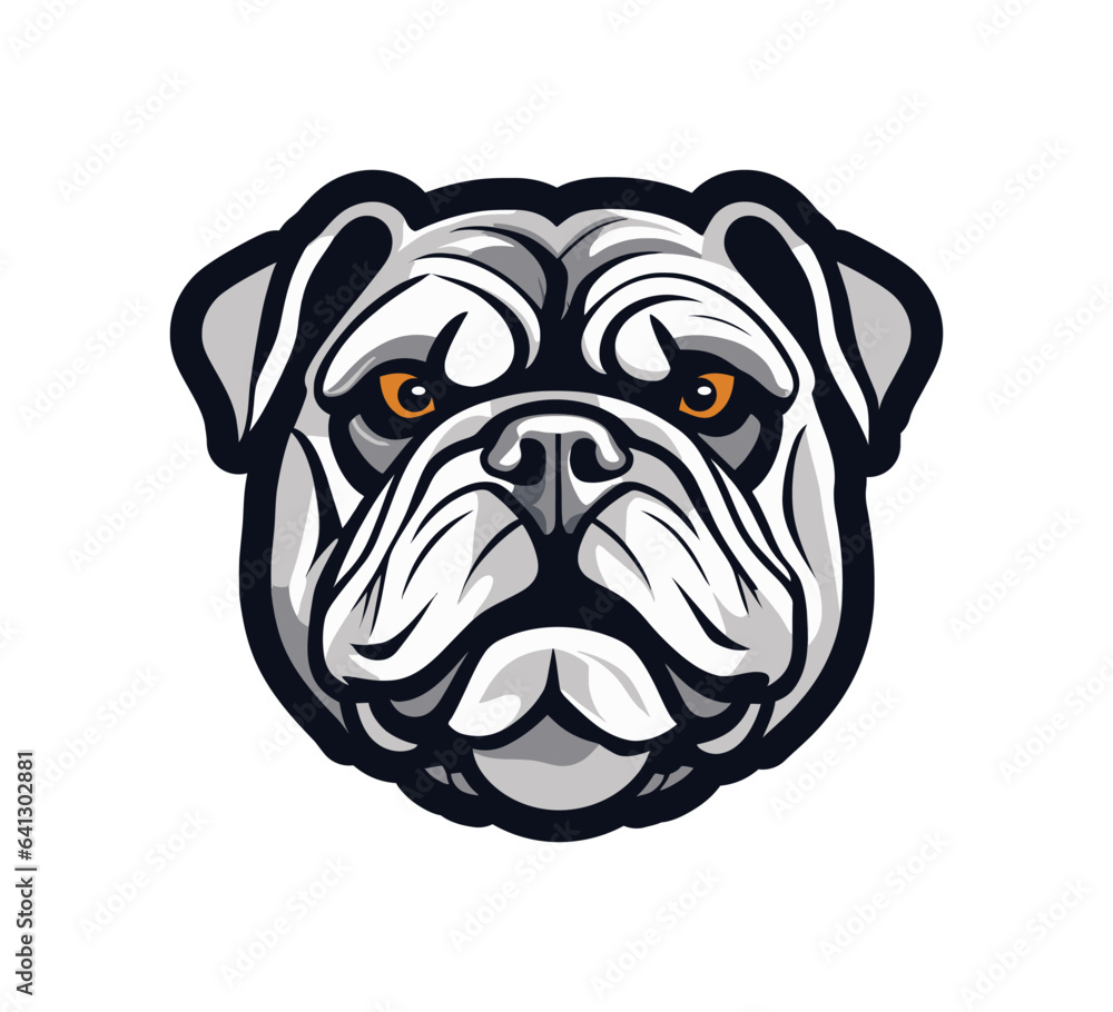 grey bulldog head portrait with good quality