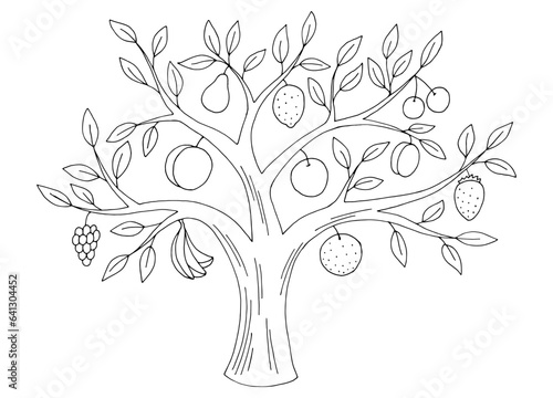 Fruit tree graphic black white isolated sketch illustration vector 
