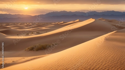 sand dunes in the desert