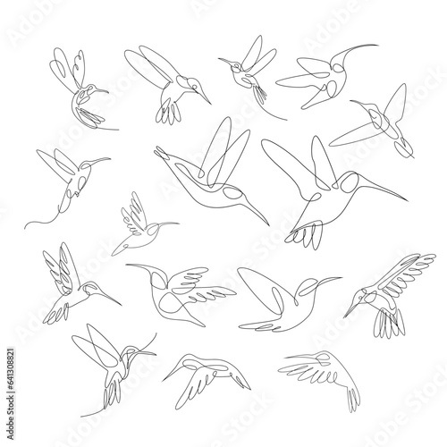 hummingbird line illustration