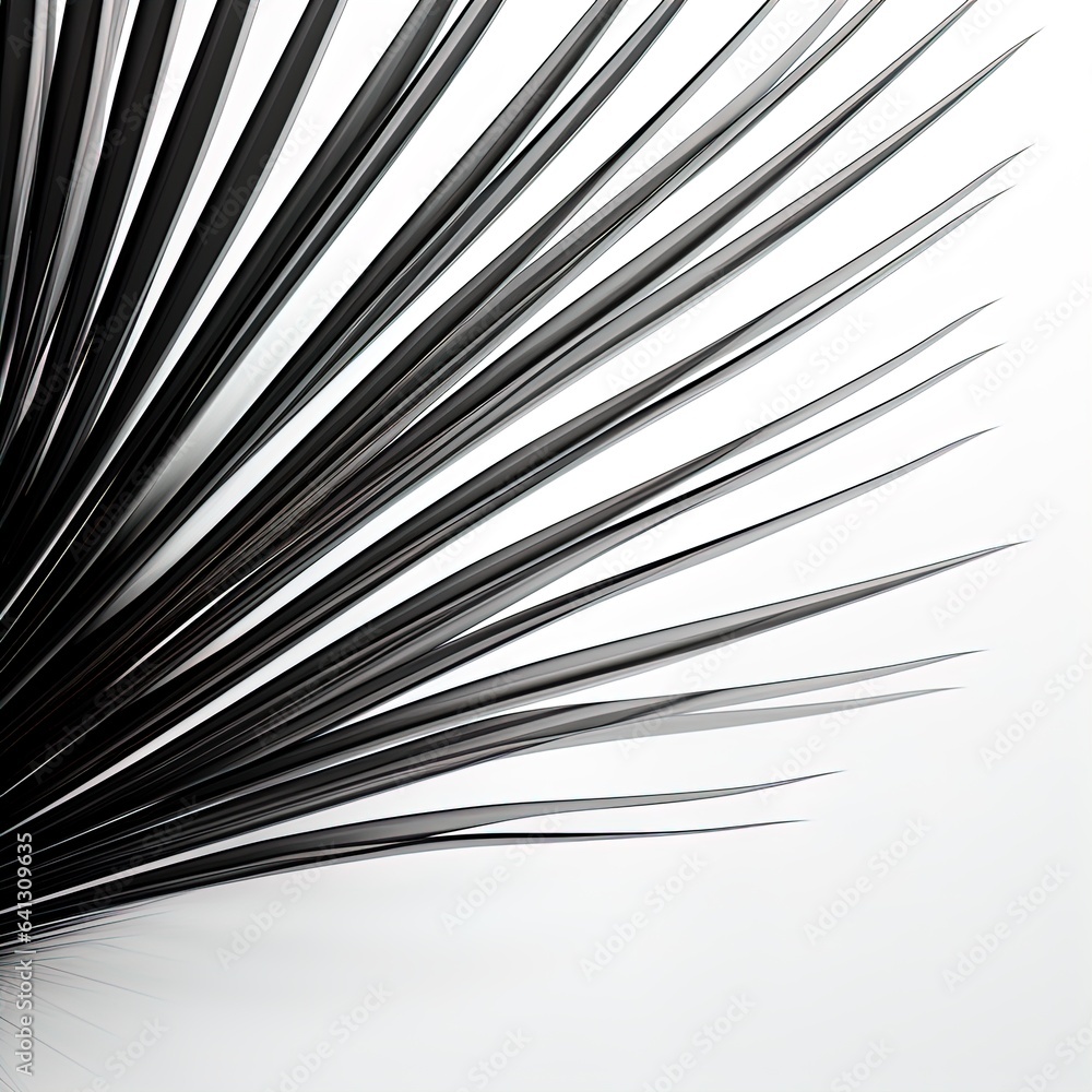 abstraction palm leaves, black and white on white background. abstraction palm leaves, black and white on white background.