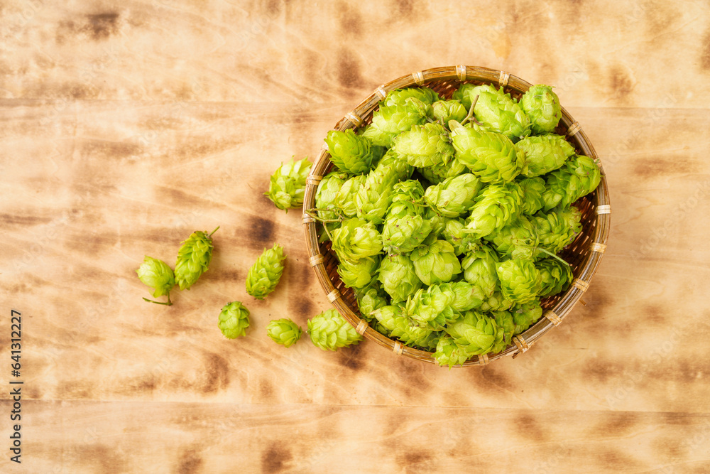 Fresh hops on a monochromatic background Fresh hops on a monochromatic background