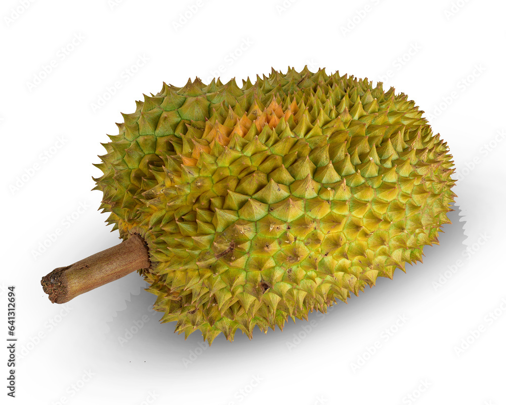 durian king of fruits isolated on white background. This has clipping path. durian king of fruits isolated on white background. This has clipping path.
