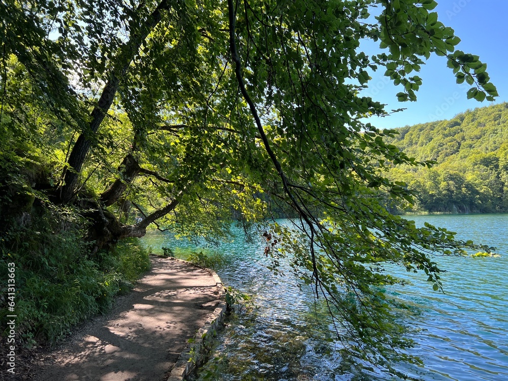 Wooden paths and walkways along the lakes and through the forest in the Plitvice Lakes National Park - Plitvica, Croatia (Drvene staze i šetnice u Nacionalnom parku Plitvička jezera - Hrvatska) Wooden paths and walkways along the lakes and through the forest in the Plitvice Lakes National Park - Plitvica, Croatia (Drvene staze i šetnice u Nacionalnom parku Plitvička jezera - Hrvatska)