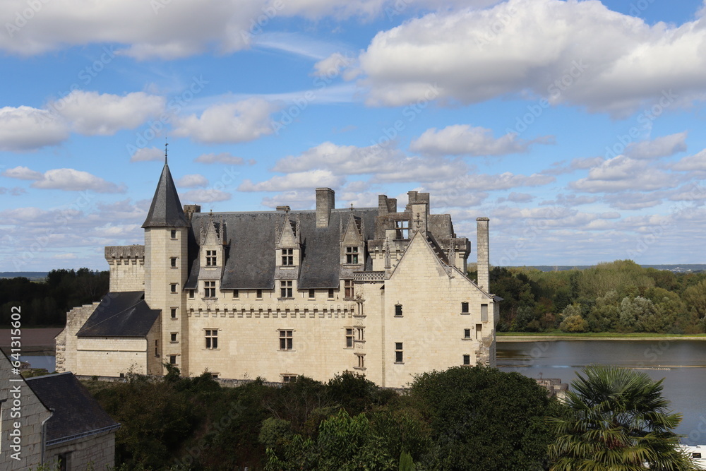 Château de Montsoreau face à la Loire