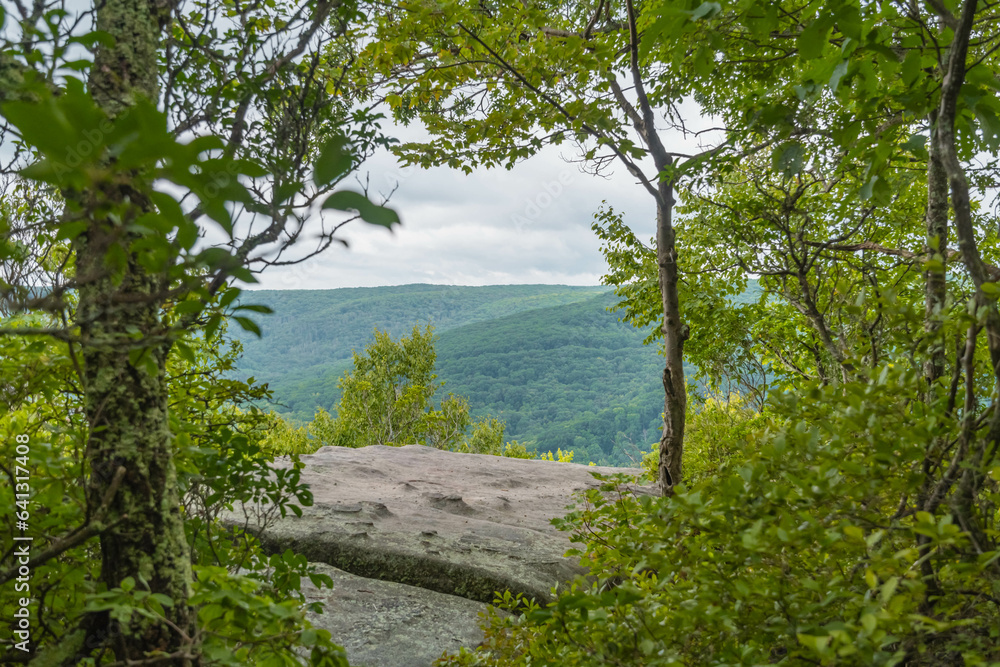 Allegheny state forest viewing platform rimrock Pa, copy space spring, summer landscape background Allegheny state forest viewing platform rimrock Pa, copy space spring, summer landscape background