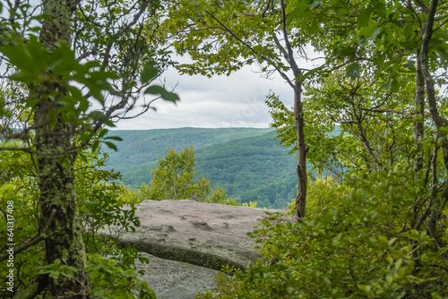 Allegheny state forest viewing platform rimrock Pa, copy space spring, summer landscape background photo