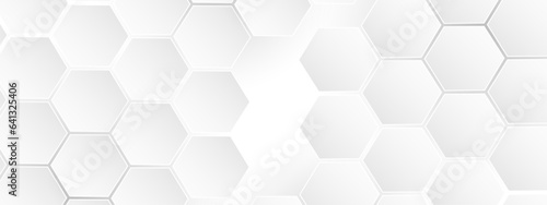 Luxury white and grey hexagonal abstract background. Geometric 3d texture illustration. Abstract hexagonal concept technology  banner and wallpaper background.