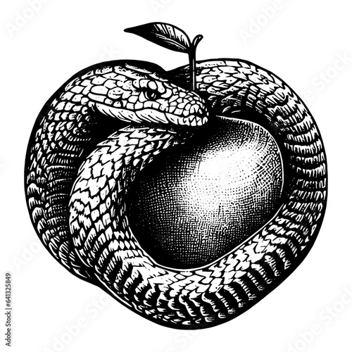 snake and apple temptation illustration