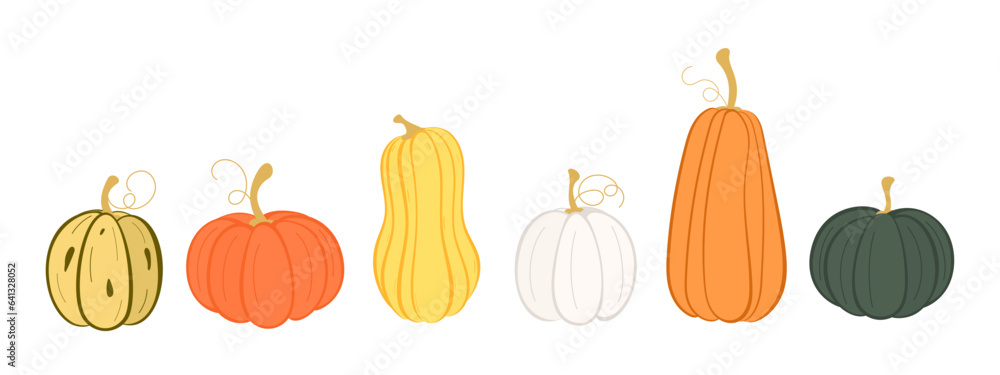 Set of pumpkins. Collection of autumn squash, pumpkins. Thanksgiving and Halloween design elements. Vector illustration on white background. 