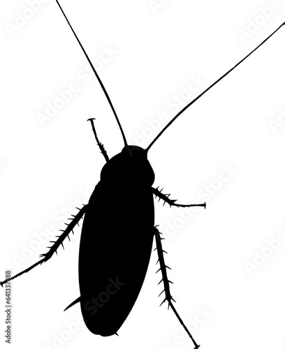 cockroach icon
