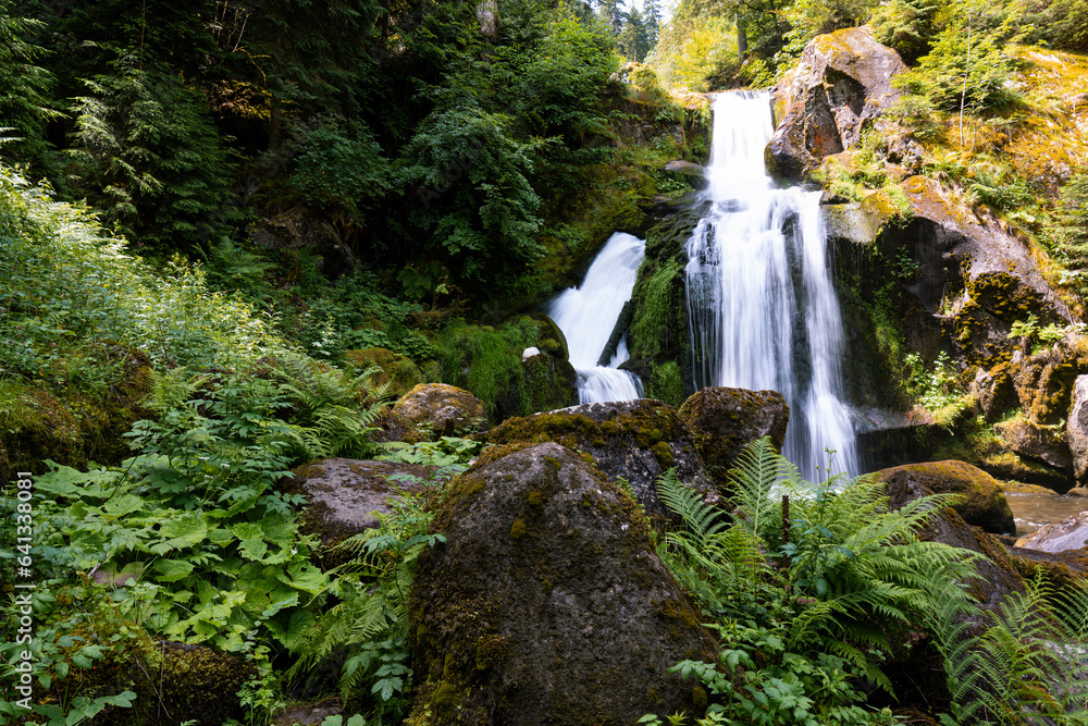 Obraz premium Triberger Wasserfälle im Schwarzwald in Baden-Württemberg in Deutschland mit Steinen und Wald