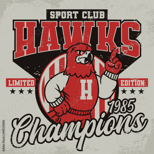 Hawks Sport Club Vintage Shirt in Retro Style