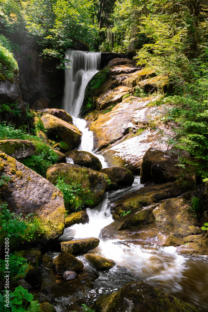 Obraz premium Triberger Wasserfälle im Schwarzwald in Baden-Württemberg in Deutschland mit Steinen und Wald