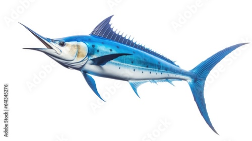 Blue marlin fish illustration isolated on background
