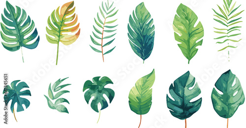 watercolor tropical leaves clipart for graphic resources